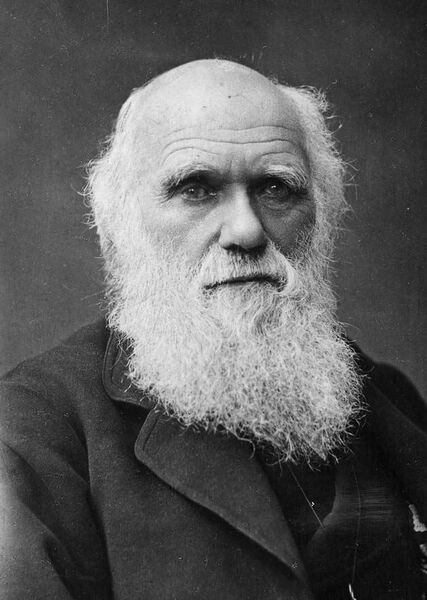 File:Charles Darwin.jpg
