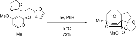English: 4-mesyloxypyran-2-ones with pendent furans occurred with high exo selectivity, displaying stereochemical control exists in 4+4 photocycloaddition reactions.