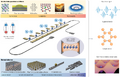 Thumbnail for version as of 08:22, 20 May 2026