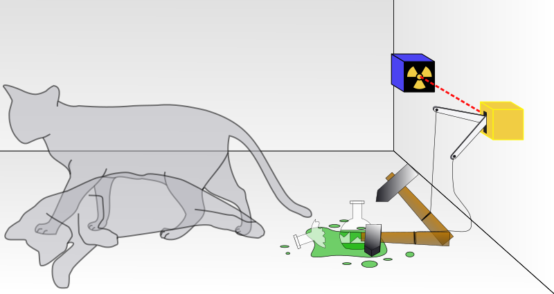 File:Schrodingers cat.svg
