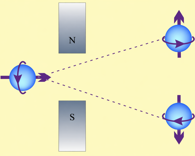 File:Stern-Gerlach measurement yellow bg.png